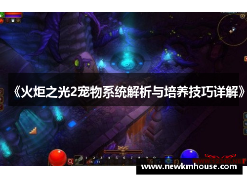 《火炬之光2宠物系统解析与培养技巧详解》