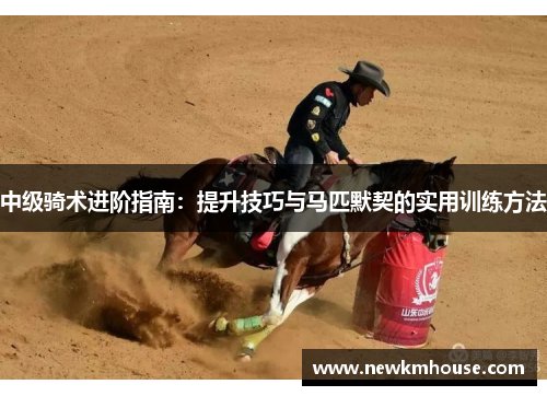 中级骑术进阶指南：提升技巧与马匹默契的实用训练方法